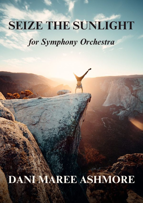 Seize The Sunlight - Orchestra - Intermediate